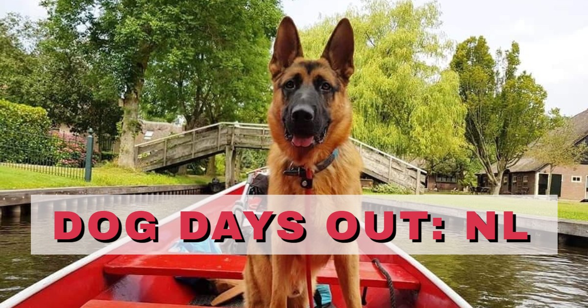Dog days out: The Netherlands