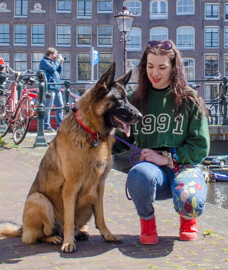dog training courses in amsterdam